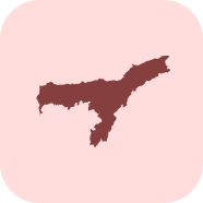 Assam Emblem