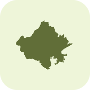 Rajasthan Emblem